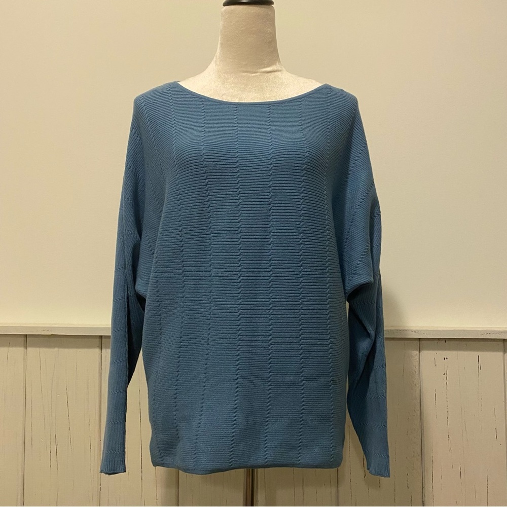 NWT Cyrus Small Long Sleeve Blue Sweater